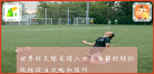 世界杯足球竞猜入口全面解析轻松玩转投注攻略和技巧