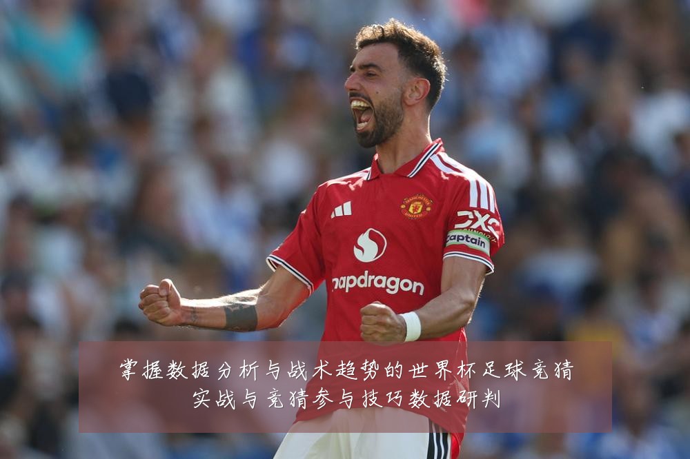 掌握数据分析与战术趋势的世界杯足球竞猜实战与竞猜参与技巧数据研判
